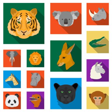 Set koleksiyonu tasarım için vahşi hayvan düz simgeler. Mammal ve kuş sembol stok web illüstrasyon vektör.