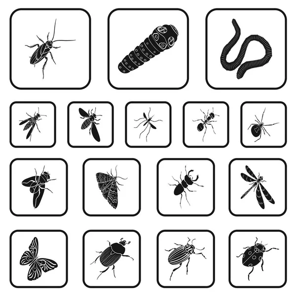 Différents types d'insectes icônes noires dans la collection de jeux pour le design. Insecte arthropode vecteur isométrique symbole stock web illustration . — Image vectorielle