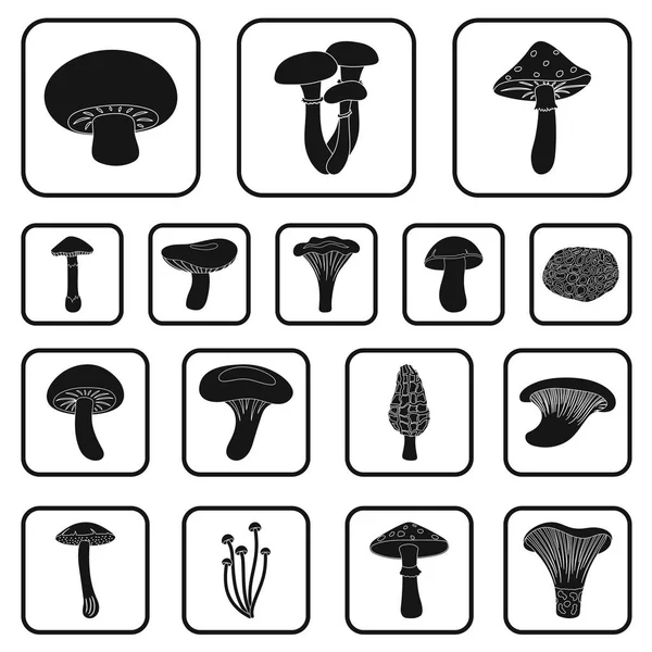 Jedovaté a jedlé houby černé ikony v kolekce sady pro design. Různé druhy hub vektorové ilustrace symbolů akcií web. — Stockový vektor