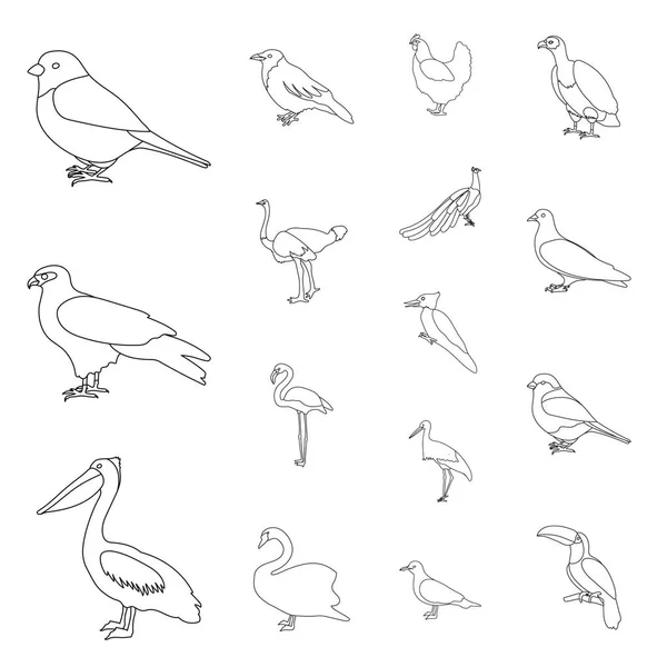 Типи птахів окреслюють піктограми в наборі для дизайну. Домашній і дикий птах Векторний символ стокова веб-ілюстрація . — стоковий вектор