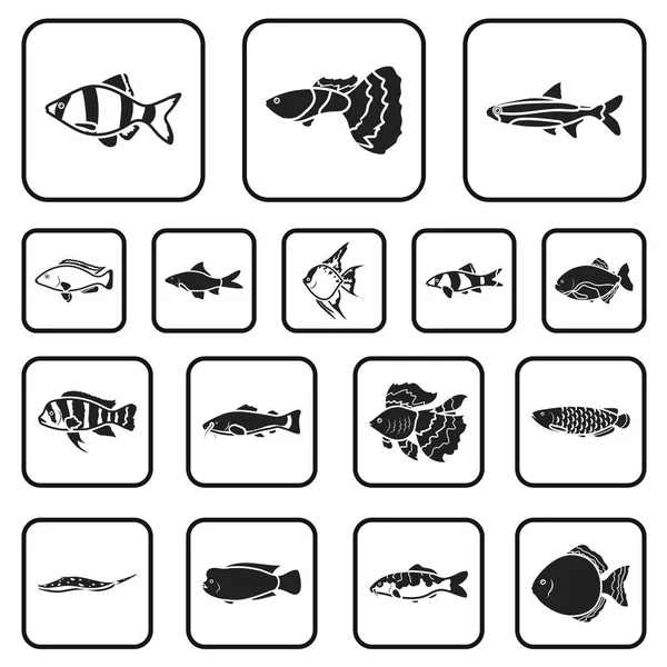 Diferentes tipos de peces iconos negros en la colección de conjuntos para el diseño. Marino y acuario peces vector símbolo stock web ilustración . — Archivo Imágenes Vectoriales
