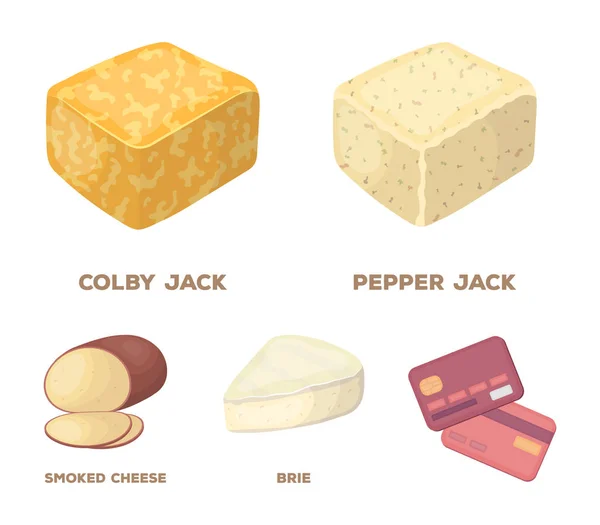 Brynza, ahumado, colby jack, pimienta jack.Different tipos de iconos colección conjunto de queso en el estilo de dibujos animados vector símbolo stock ilustración web . — Vector de stock