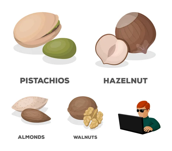 Nocciola, pistacchi, noce, mandorle. Diversi tipi di noci set icone di raccolta in stile cartone animato vettore simbolo stock illustrazione web . — Vettoriale Stock