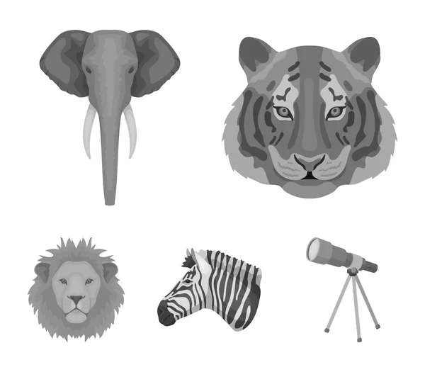 Tijger, Leeuw, olifant, zebra, realistische dieren collectie iconen in zwart-wit stijl vector symbool stock illustratie web instellen. — Stockvector