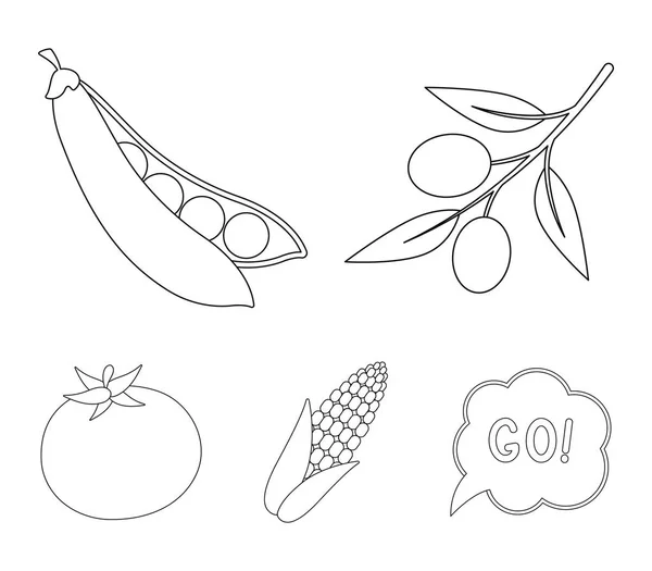 Olives sur une branche, petits pois, épi de maïs, tomate rouge. Légumes ensemble collection icônes dans le style contour vectoriel symbole illustration web . — Image vectorielle