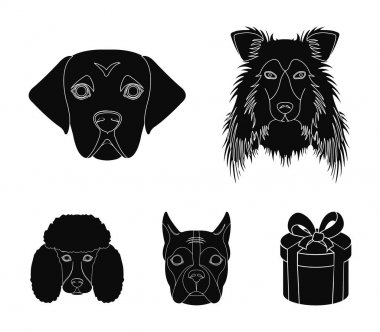 Farklı doğurmak-in köpek ağızlık. Kömür ocağı doğurmak köpek, lobladore, fino köpeği, boksör siyah stil vektör simge stok çizim web simgeler ayarla.