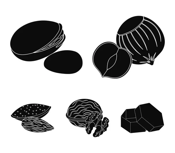 Avellana, pistachos, nuez, almendras. Diferentes tipos de nueces establecen iconos de colección en el estilo negro símbolo vectorial stock illustration web . — Vector de stock