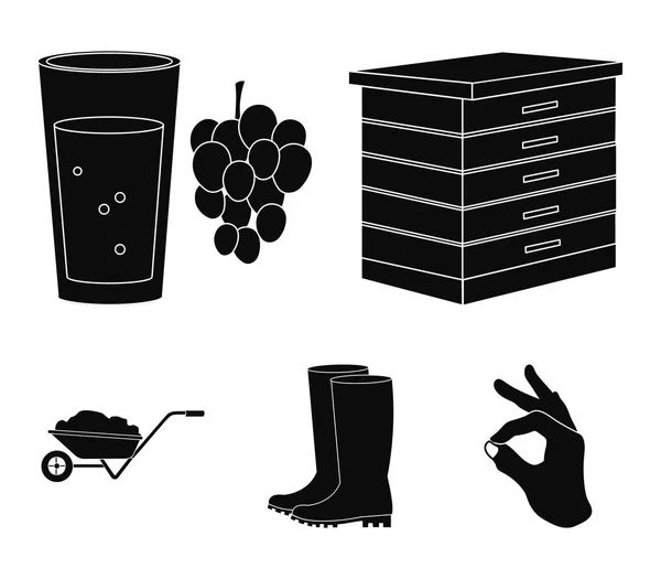 Hive, grapes, boots, wheelbarrow.Farm set collection icons in black style vector symbol stock illustration web. — Stock Vector