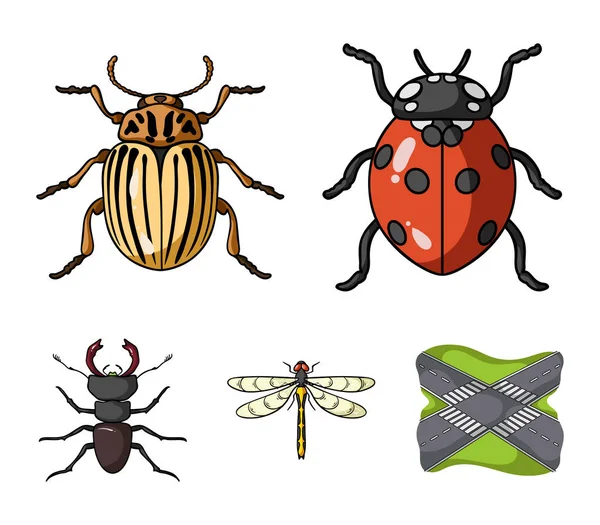 Insecte, insecte, coléoptère, patte .Insectes mis icônes collection dans le style dessin animé vectoriel symbole illustration web . — Image vectorielle