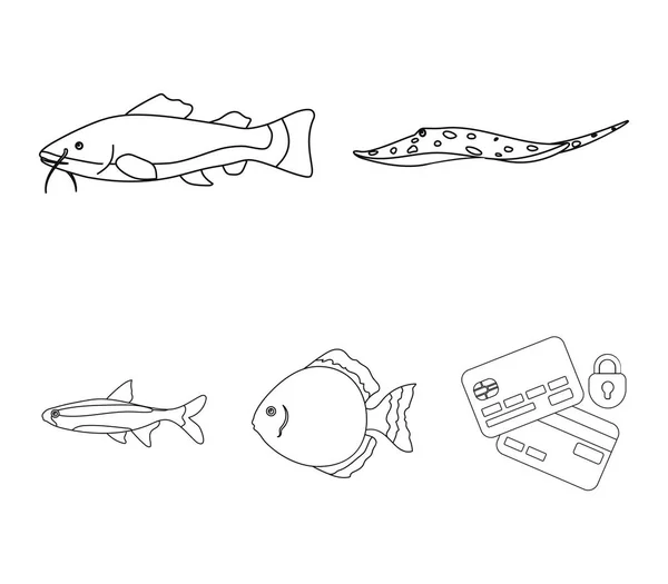 Angelfish, commun, barbus, neon.Fish ensemble icônes de la collection dans le style contour vectoriel symbole illustration web . — Image vectorielle