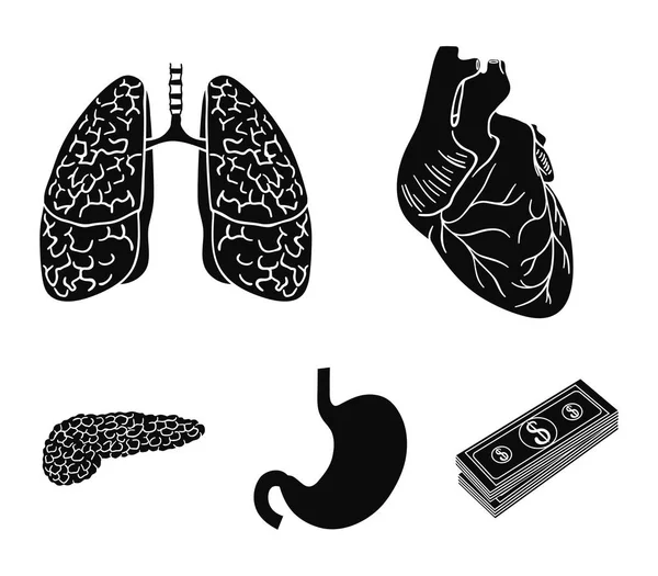Καρδιά, πνεύμονες, στομάχι, πάγκρεας. Ανθρώπινων οργάνων στεγάζεται συλλογή εικονιδίων σε μαύρο στυλ διάνυσμα σύμβολο μετοχής εικονογράφηση web. — Διανυσματικό Αρχείο