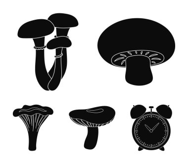 Champignon, tatlım, agarics, russula, Cantharellus cibarius. toplama simgeler siyah stil vektör simge stok çizim web ayarla.