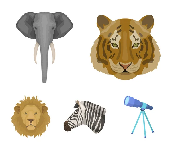 Tygr, lev, slon, zebra, realistické zvířat nastavení kolekce ikon v kreslený styl vektor symbol akcií ilustrace web. — Stockový vektor