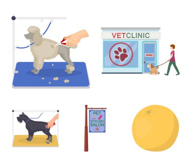 Bir veteriner Kliniği, şık bir salon a evde beslenen hayvan köpek bir saç kesimi için bir tabela ziyaret. Veteriner Kliniği ve evde beslenen hayvan, köpek bakım toplama simgeler karikatür tarzı vektör simge stok çizim web içinde ayarlayın..