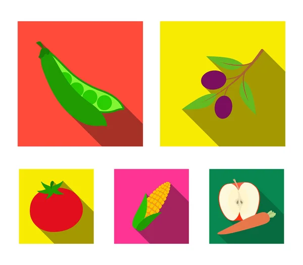 Olives sur une branche, petits pois, épi de maïs, tomate rouge. Légumes ensemble icônes de la collection dans le style plat vectoriel symbole illustration web . — Image vectorielle