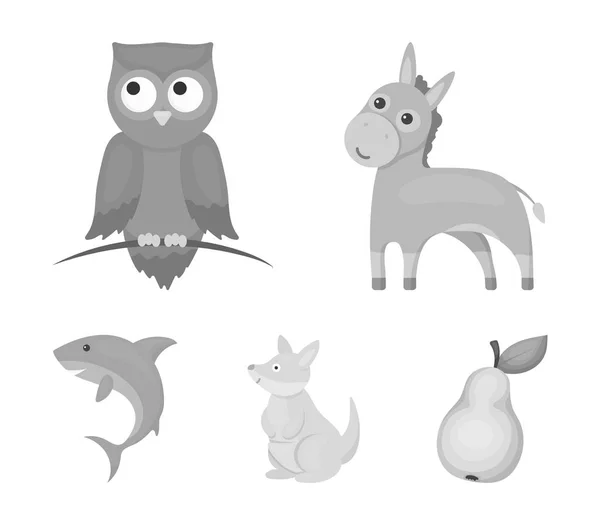 Esel, Eule, Känguru, Hai. Animal Set Sammlung Symbole in monochromen Stil Vektor Symbol Stock Illustration Web. — Stockvektor