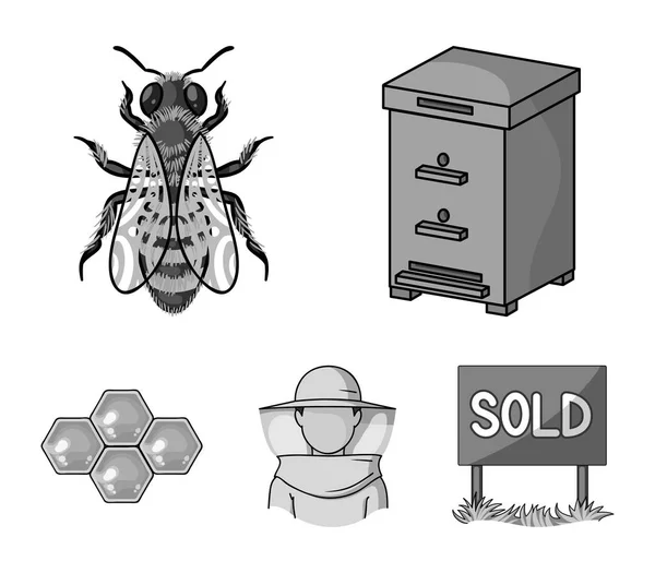 L'ape, l'apicoltore nella maschera, il nido d'ape del miele.Apiario set di icone di raccolta in stile monocromatico vettore simbolo stock illustrazione web . — Vettoriale Stock