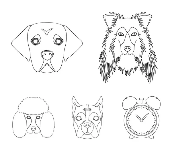 Bozal de diferentes razas de perros. Collie raza perro, lobladore, caniche, boxeador conjunto colección iconos en contorno estilo vector símbolo stock ilustración web . — Vector de stock