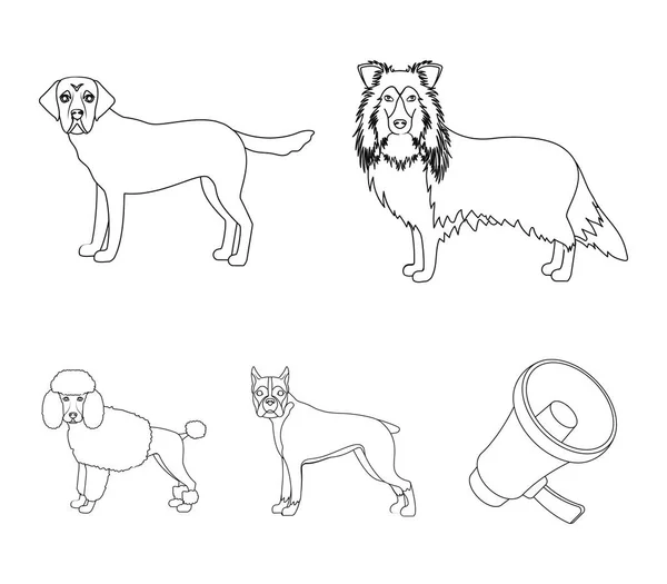 Perro, laika, beagle y otro icono de la web en el estilo del bosque.Poodle, animal, orejas iconos en la colección de conjuntos . — Vector de stock