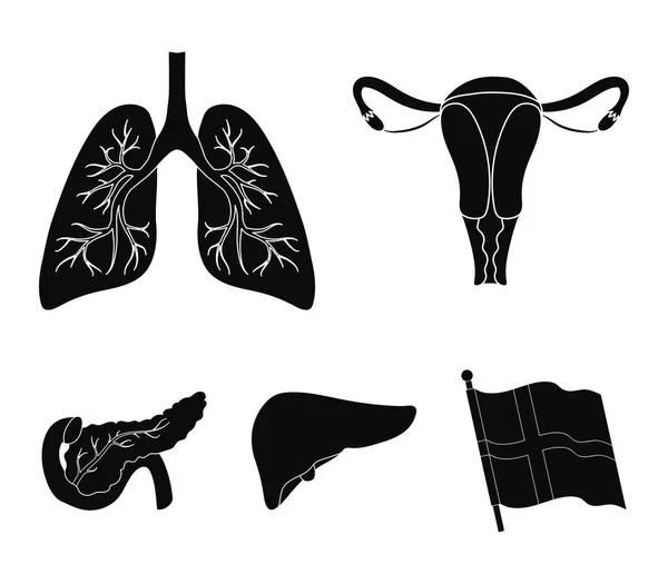 Útero, pulmões, fígado, pâncreas. Organs definir ícones de coleção em estilo preto símbolo vetorial web ilustração estoque . — Vetor de Stock