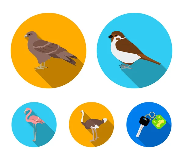 Vrabec a další druhy. Ptáci nastavení kolekce ikon v ploché styl vektor symbol akcií ilustrace web. — Stockový vektor
