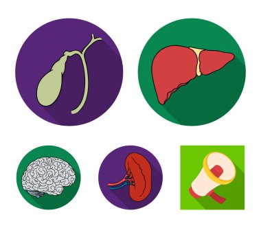 Karaciğer, safra kesesi, böbrek, beyin. İnsan organlarını toplama simgeler düz stil vektör simge stok çizim web içinde ayarla..