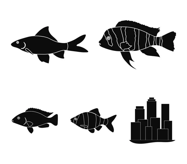 Botia, payaso, piraña, cíclido, colibrí, guppy, peces conjunto colección iconos en negro estilo vector símbolo stock ilustración web . — Archivo Imágenes Vectoriales