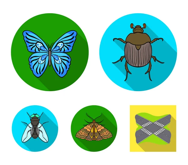 Broyeur, parasite, nature, papillon .Insectes ensemble icônes de la collection dans le style plat vectoriel symbole illustration web . — Image vectorielle