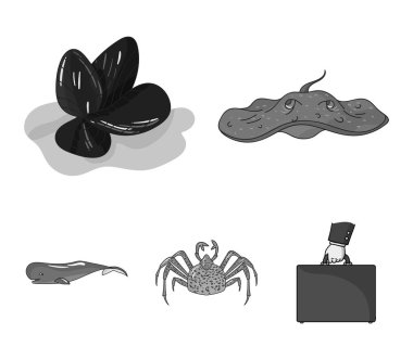 Elektrik rampa, midye, Yengeç, sperm balina. Deniz hayvanları toplama simgeler tek renkli stil vektör simge stok çizim web içinde ayarla..