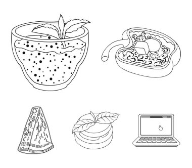 Tatlı Bulgar biber, vitamin içeceği, reçel Ahududu ve nane yaprakları ile karpuz bir parçası. Vejetaryen yemekleri toplama simgeler anahat stili vektör simge stok çizim web içinde ayarla..