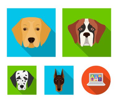 Farklı doğurmak-in köpek ağızlık. Doğurmak St. Bernard, golden retriever, Doberman, Dalmaçyalı köpek toplama simgeler düz stil vektör simge stok çizim web içinde ayarla..