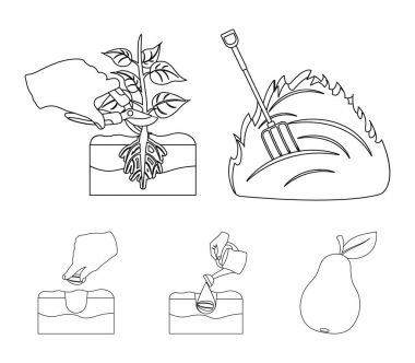 Bahçe, ekoloji, farmingand diğer web simgesi anahat tarzı. Besleme, çizim, çiftlik, küme koleksiyon simgeler.