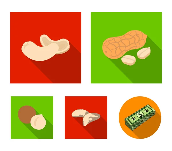 Amendoim, castanha de caju, castanha do brasil, macadamia.Different tipos de nozes conjunto coleção ícones em estilo plano símbolo vetorial estoque ilustração web . — Vetor de Stock