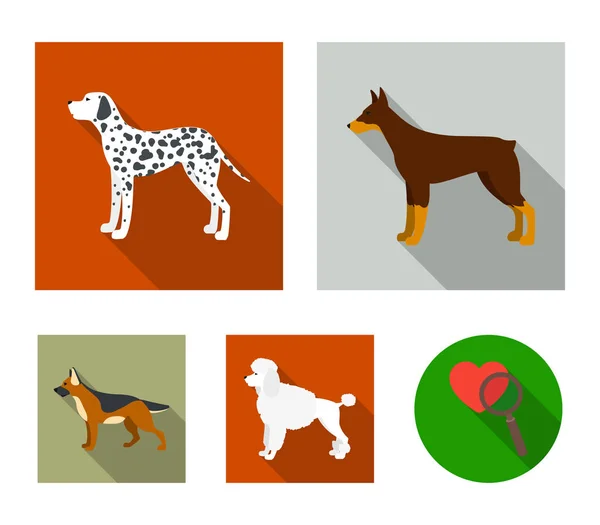 Poodle, doberman, dolmatin, pastor alemán. razas perro conjunto colección iconos en estilo plano vector símbolo stock ilustración web . — Vector de stock