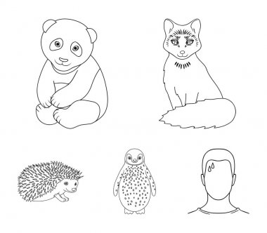 Fox, panda, kirpi, Penguen ve diğer hayvanlar. Hayvan toplama simgeler anahat stili vektör simge stok çizim web içinde ayarla..