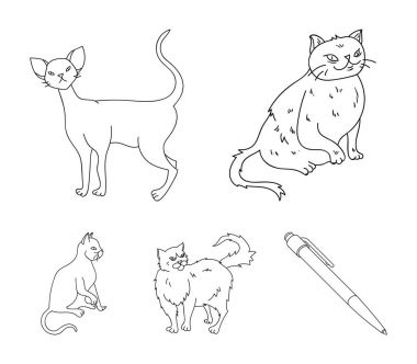 Farsça, Cornish rex ve diğer türler. Kedi doğurmak toplama simgeler anahat stili vektör simge stok çizim web içinde ayarla..