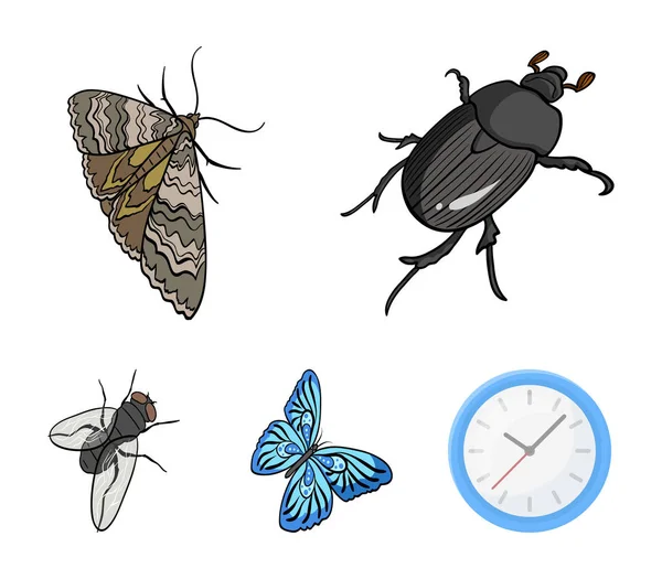 Arthropods insect beetle, moth, butterfly, fly. Insects set collection icons in cartoon style vector symbol stock isometric illustration web. — Stock Vector