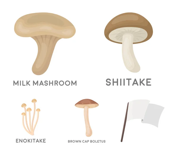 Shiitake, boletus berretto marrone, enokitake, latte. set di icone di raccolta in stile cartone animato vettoriale simbolo stock illustrazione web . — Vettoriale Stock