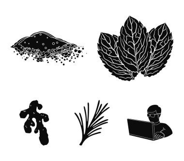 Nane, fesleğen, kök zencefil, kırmızı biber. Otlar ve baharatlar toplama simgeler siyah stil vektör simge stok çizim web ayarla.