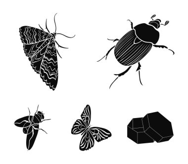 Eklembacaklılar böcek böcek, güve, kelebek, sinek. Böcekler toplama simgeler stok izometrik çizimde web içinde sembol siyah stil vektör ayarla..