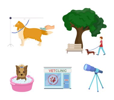 Bir köpek, bir veteriner ofisi a evde beslenen hayvan banyo penye bir köpek ile parkta yürüyüş. Veteriner Kliniği ve evde beslenen hayvan kaygı toplama simgeler karikatür tarzı vektör simge stok çizim web içinde ayarla.