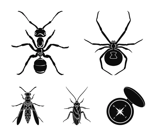 Pók, hangya, darázs, méh. Rovarok gyűjtemény ikonok településen fekete stílus vektor szimbólum stock illusztráció web. — Stock Vector