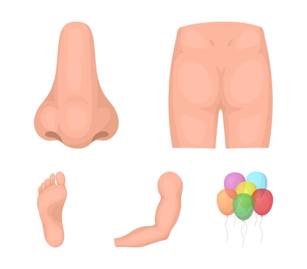 Nalgas, nariz, brazo, pie. Parte de los iconos de la colección body set en el estilo de dibujos animados vector símbolo stock ilustración web . — Vector de stock