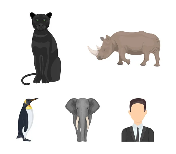 Rinoceronte nero, pantera gatto selvatico, elefante animale africano, pinguino imperiale. Animali selvatici set icone di raccolta in stile cartone animato vettore simbolo stock illustrazione web . — Vettoriale Stock