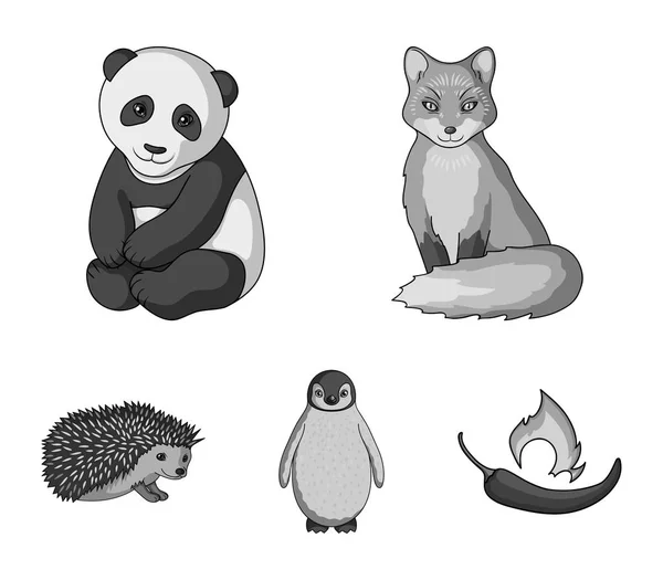Fox, panda, erizo, pingüino y otros animales.Animals set collection icons in monochrome style vector symbol stock illustration web . — Archivo Imágenes Vectoriales