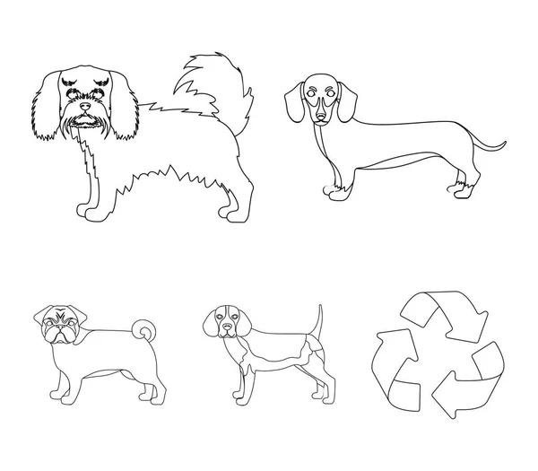 Perro, animal, doméstico, y otro icono de la web en el estilo del bosquejo. Dachshund, maltés, bulldog iconos en la colección de conjuntos . — Archivo Imágenes Vectoriales