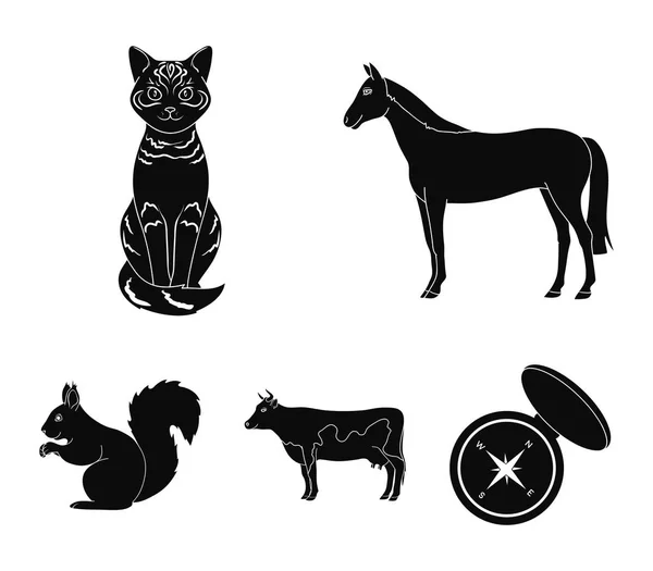 Cheval, vache, chat, écureuil et d'autres types d'animaux.Animaux mis icônes de la collection en noir style vectoriel symbole illustration web . — Image vectorielle