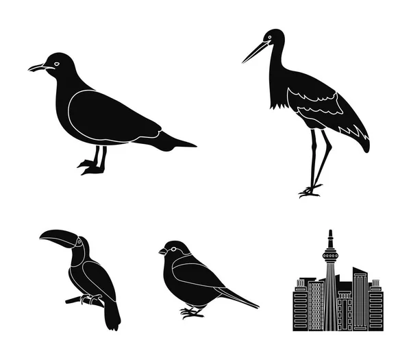 Een ooievaar, een zeemeeuw en verschillende soorten. Vogels instellen collectie iconen in zwarte stijl vector symbool stock illustratie web. — Stockvector