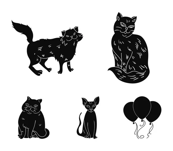 Esfinge, nibelung, gato da floresta norueguesa e outras espécies. Gato raças conjunto coleção ícones em estilo preto símbolo vetorial ilustração web . — Vetor de Stock