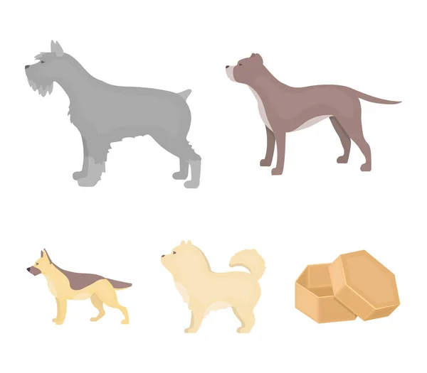Pit bull, german shepherd, chow chow, schnauzer. Dog breeds set collection icons in cartoon style vector symbol stock illustration web. — Stock Vector